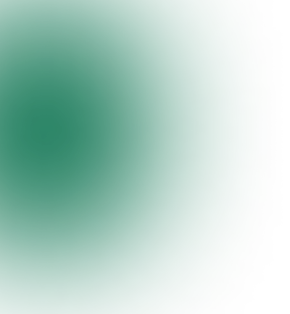 Ellipse 35 (4).png